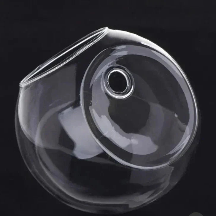 Wall Hanging Glass Plant Vase with Hydroponic Round Flower Pot