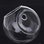 Wall Hanging Glass Plant Vase with Hydroponic Round Flower Pot