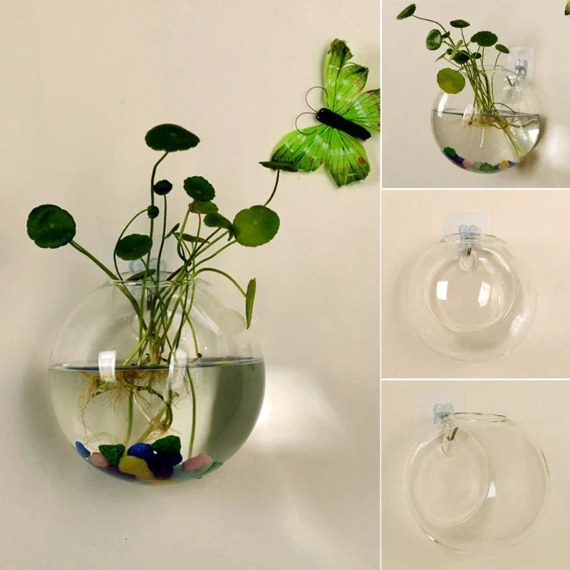Wall Hanging Glass Plant Vase with Hydroponic Round Flower Pot