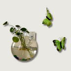 Wall Hanging Glass Plant Vase with Hydroponic Round Flower Pot